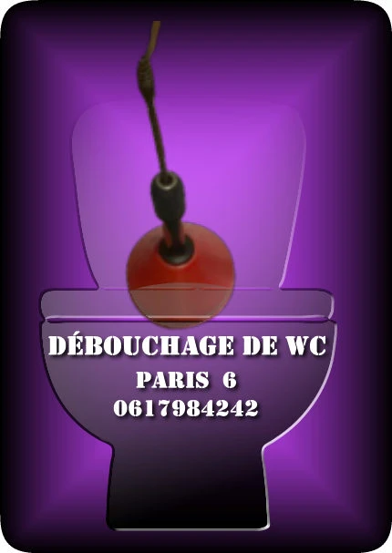 Débouchage de WC par un plombier à paris 6